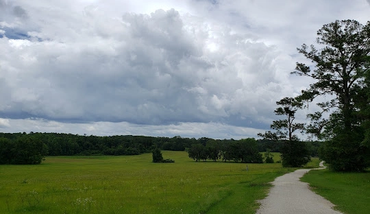 Bradfordville
